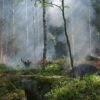 Incendi boschivi, la Commissione europea lancia l’allarme: crescita record nel 2018 e l’Italia è al primo posto
