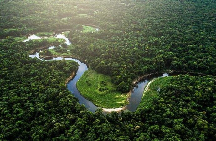 Brasile: Amazzonia, deforestazione record in aprile