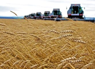 L’Ue vuole far arrivare il grano dall’Ucraina per percorsi alternativi