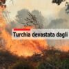 Turchia, evacuate 150 persone per un devastante incendio sulla costa del Mar Egeo