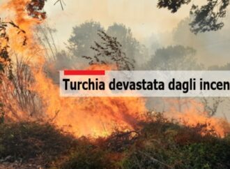 Turchia, evacuate 150 persone per un devastante incendio sulla costa del Mar Egeo
