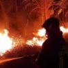 Incendio al confine ceco-tedesco, roghi nell’Ue quest’anno superiori alla media