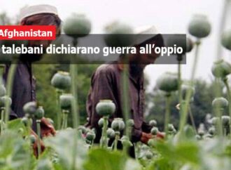 Afghanistan, i talebani dichiarano guerra all’oppio