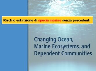 Cambiamento climatico: rischio estinzione di specie marine senza precedenti