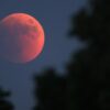 Luna rossa, l’eclissi totale: orari e dove vederla questa notte