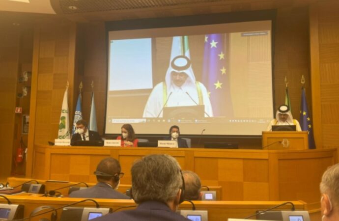 Conferenza parlamentare internazionale a Montecitorio sul sostegno alle vittime del terrorismo