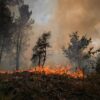 Europa, incendi: migliaia di evacuati e centinaia di morti