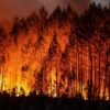 Francia, incendi: mobilitati più di “1.000 vigili del fuoco”