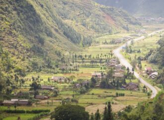 Bolivia, l’agro-export minaccia le foreste tropicali