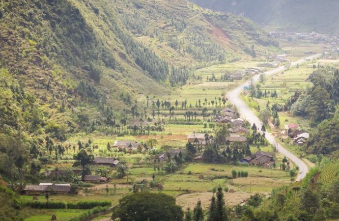 Bolivia, l’agro-export minaccia le foreste tropicali