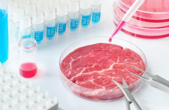 Stop carne sintetica, Mattarella promulga legge ma Italia rispetterà Ue