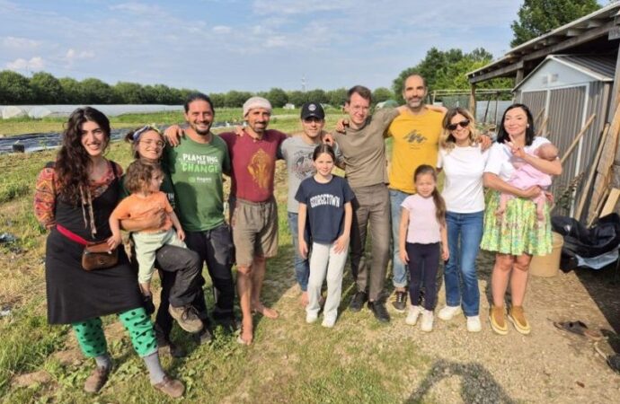 Milano, Greenforlife: piantate 1000 piante in onore di madre terra