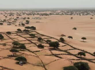 Etiopia in ginocchio per la desertificazione e siccità