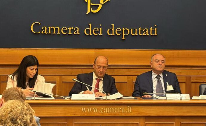 Rapporto  Cyber organized crime. “Le mafie nel Cyberspazio”