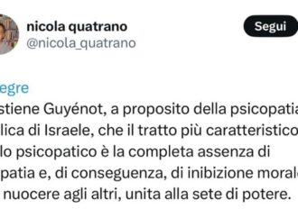 ‘Israele Stato psicopatico’, ecco il saggio postato da ospite convegno Boldrini & Co