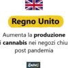 Gb, aumenta la produzione di cannabis nei negozi chiusi post pandemia