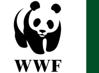 WWF: meno 73 per cento di animali selvatici in 50 anni