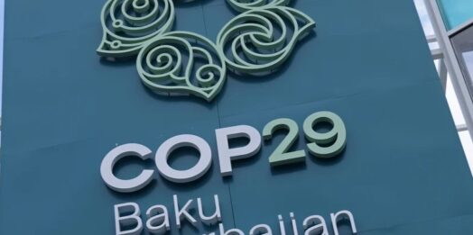 COP29: “Servono 1.000 miliardi di dollari per il climate change”