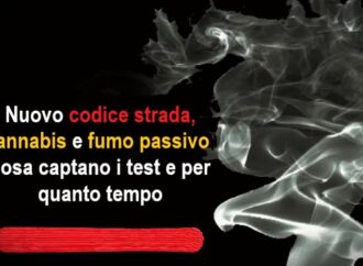 Nuovo codice strada, cannabis e fumo passivo: cosa captano i test e per quanto tempo