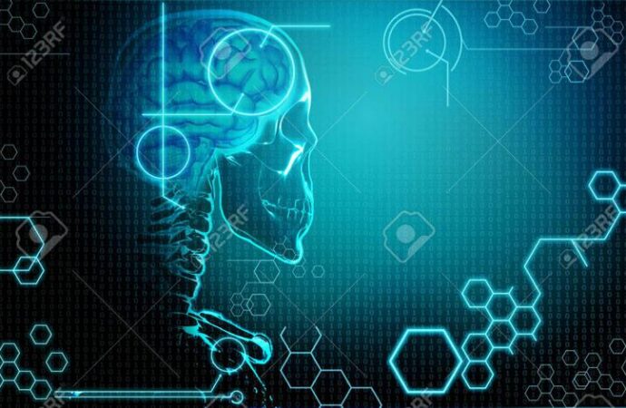 Studio, il digiuno aiuta il cervello a restare giovane